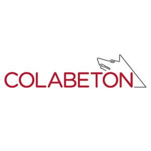 COLABETON_logo.jpg